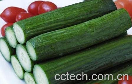 乳瓜的腌制方法 乳瓜的做法教程-0