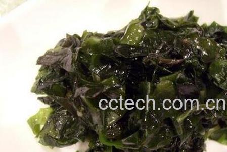 螺旋藻的功效与作用 螺旋藻的药用价值-1