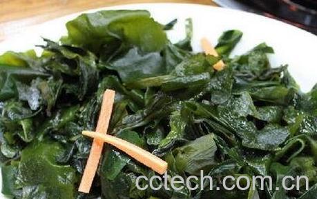 螺旋藻的功效与作用 螺旋藻的药用价值-0