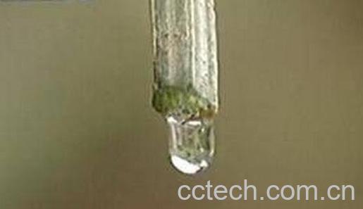 鲜丝瓜水的功效与作用 鲜丝瓜水能美容吗-1