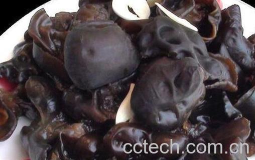 木耳的功效与作用 木耳的药用价值-1