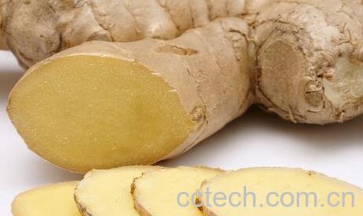生姜的功效与作用 生姜的药用价值-1