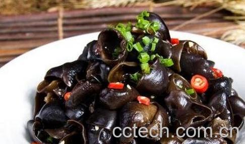 木耳的功效与作用 木耳的药用价值-0