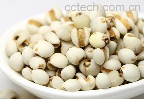 薏米的功效与作用 薏米的药用价值-0