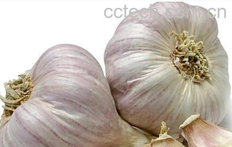 大蒜的功效与作用 大蒜的药用价值-1