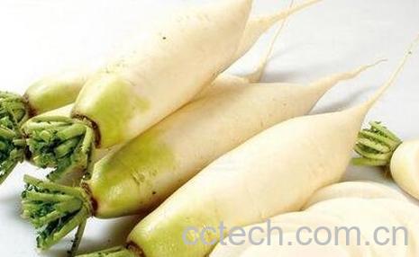 白萝卜的功效与作用 吃白萝卜的好处-0