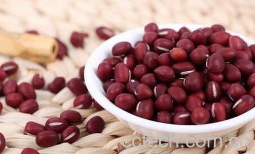 红豆的功效与作用 红豆的药用价值-1