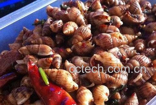 海丁的营养价值 海丁的功效与作用-1