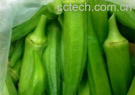 秋葵的功效与作用 秋葵的药用价值-0