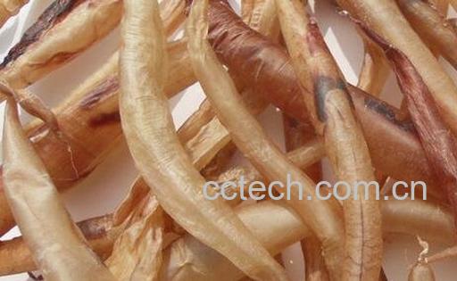 鳗鱼胶的功效与作用-1