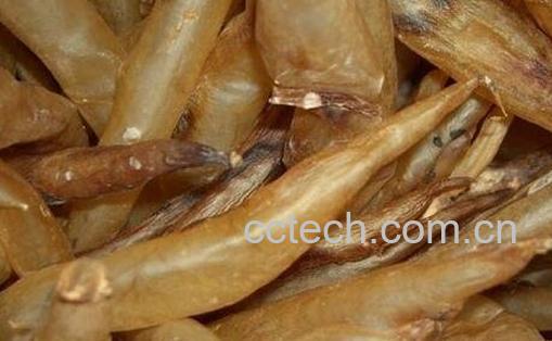 鳗鱼胶的功效与作用-0