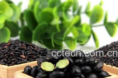 黑豆和黑芸豆的区别-0