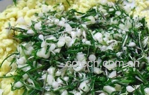 小蒜的功效与作用-1