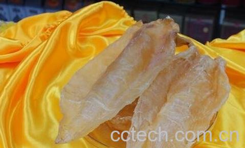 普通鱼胶的功效与作用-0