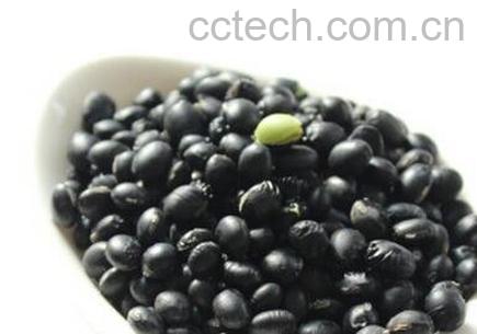 绿芯黑豆的功效与作用及禁忌-1