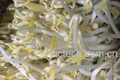 绿豆芽怎么发 绿豆芽的做法步骤教程-1