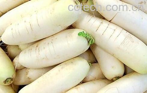 白萝卜和什么相克 白萝卜不能和什么一起吃-0