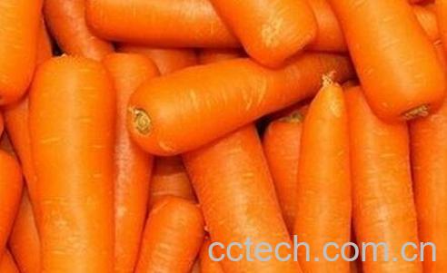 胡萝卜汁的功效与作用及做法-1