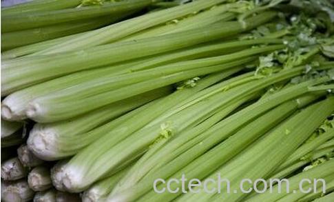 煮芹菜根水的功效与作用-1