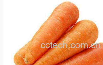 胡萝卜素的功效与作用-1