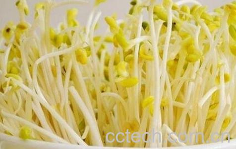 绿豆芽的营养价值 吃绿豆芽的好处-1
