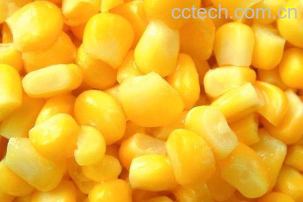 玉米粒-1