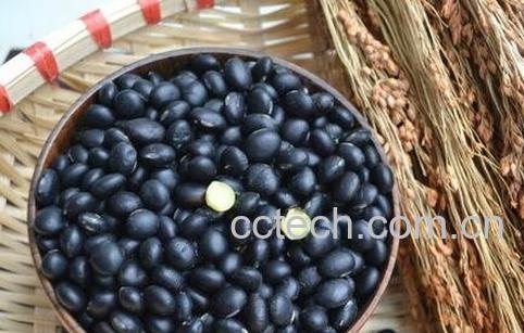 黑豆怎么吃最好 常见黑豆的吃法技巧-0