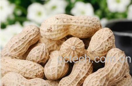 花生壳煮水的功效与作用-0