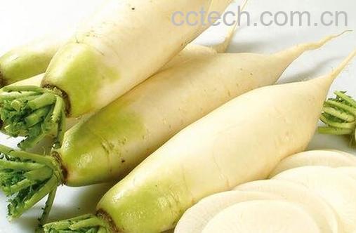 萝卜不能和什么一起吃 萝卜和什么相克-0
