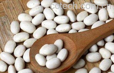 白豆水的功效与作用-0