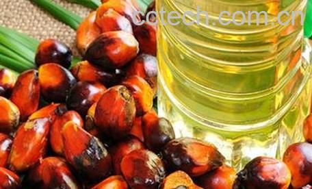 棕榈油的好处 棕榈油炸东西的好处-0