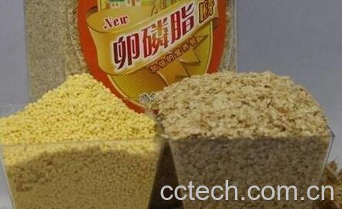 卵磷脂的功效与作用-0