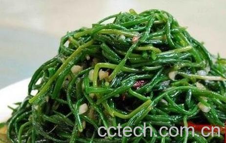 亮杆菜的药用价值-0