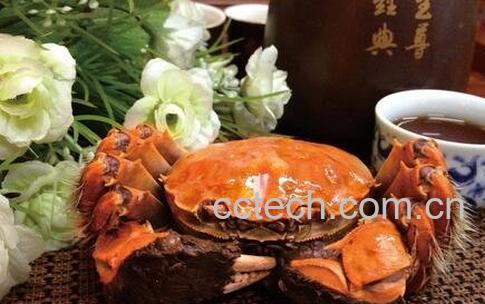 大闸蟹不能和什么水果一起吃-0