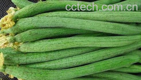 长期吃丝瓜有什么好处-0