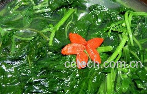 野辣椒叶的功效与作用-0