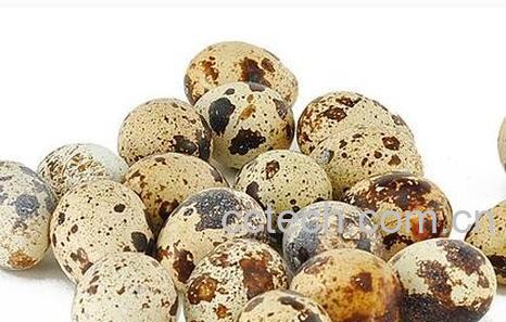 鹌鹑蛋壳的作用-0