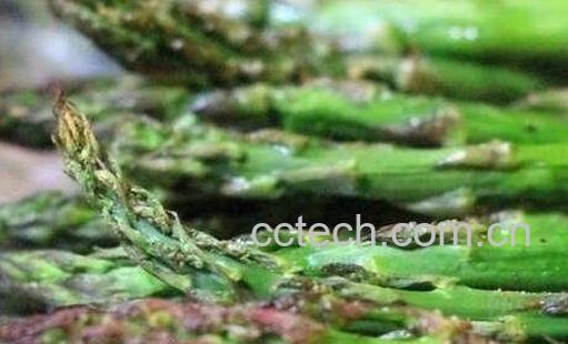 山玉米的功效与作用-0