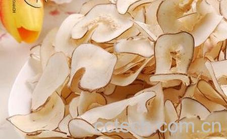 海底椰的功效与作用-0