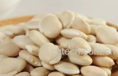 白扁豆的功效与作用及禁忌-0