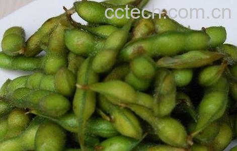 青黄豆的功效与作用-0