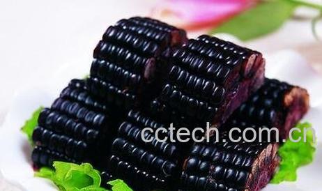 黑玉米的功效与作用-0