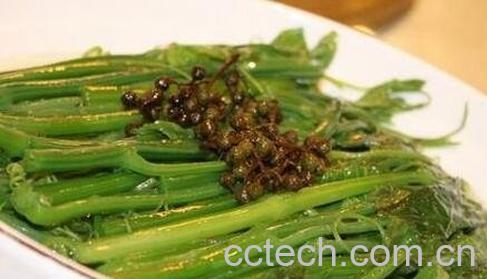 鲜丝瓜苗的功效与作用-0