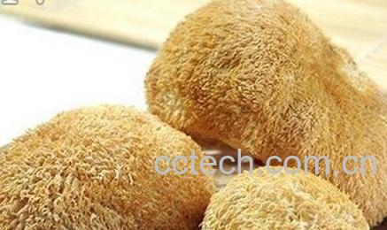 干猴头菇怎么吃-0