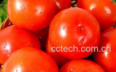 西红柿不能和什么一起吃-0