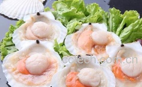  扇贝不能和什么一起-0