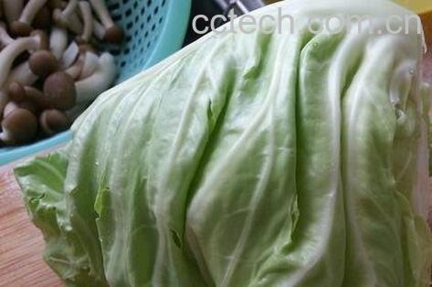 流星包菜的营养价值-0