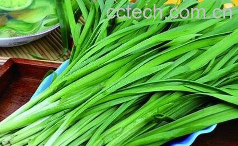 韭菜不能和什么一起吃-0
