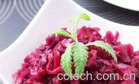 红包菜的营养价值-0