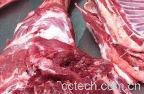 男人吃羊肉的功效与作用-0